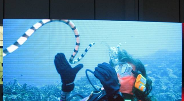 美股四次熔斷，會對室內(nèi)全彩led顯示屏行業(yè)造成怎樣的影響呢